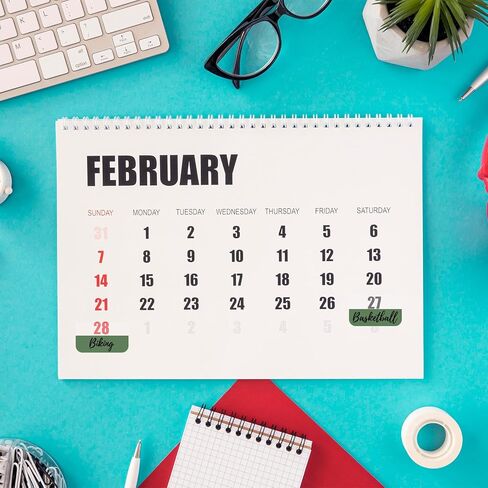 300 قطعة من علامات تبويب الفهرس اللاصقة، علامات تبويب توضيحية خضراء، علامات صفحة قابلة لإعادة تعيين وضعها، ملصقات ورقية متدرجة، علامة تبويب لاصقة لأجهزة الكمبيوتر المحمولة، تصنيف الملفات، أخضر حكيم in Saudi Arabia