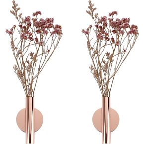 JUXYES Pack of 2 Wall Flower Vase Tube Metal Flower Vase with Sticker, Modern Dried Flower Holder Wall Decoration for Porch Home Office