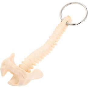 Mobestech Human Spine Model Kids Cars Toy Novelty Keychain Spinal Backbone Keychain Biology Keyring Plastic Pendant Keychain Spine Ring Human Spine Keychain Decorate Pvc Child