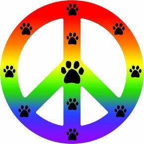 Peace Car Magnet Sign, Rainbow, 41/2-Inch by 4-1/2-Inch