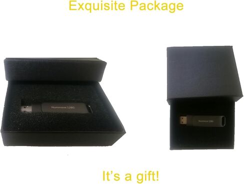 محرك فلاش Tesla Dashcam وSentry SSD المحمول مع USB 3.0 128 جيجابايت لطراز Tesla 3/S/X/Y Dashcam ووضع Sentry | ملحقات طراز تسلا 3/S/X/Y المجهزة مسبقًا | محرك الإبهام تسلا| لقطة فيديو in Kuwait