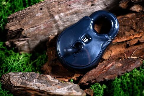Dice: Rogue: d20 Lock & Pick Set: Cold Iron in Saudi Arabia