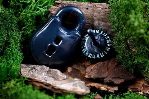 Dice: Rogue: d20 Lock & Pick Set: Cold Iron in Saudi Arabia