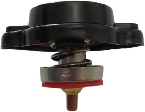 غطاء مشعاع عالي الضغط من تاسك مع مقياس درجة الحرارة 1.8 بار in Kuwait