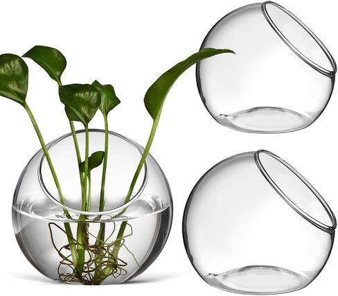 balacoo 3 Pcs Glass Terrariums Bowl for Plants, Terrarium Jar for Air Plant Clear Globe Vase Glass Bowl for Home Desktop Decor in Kuwait