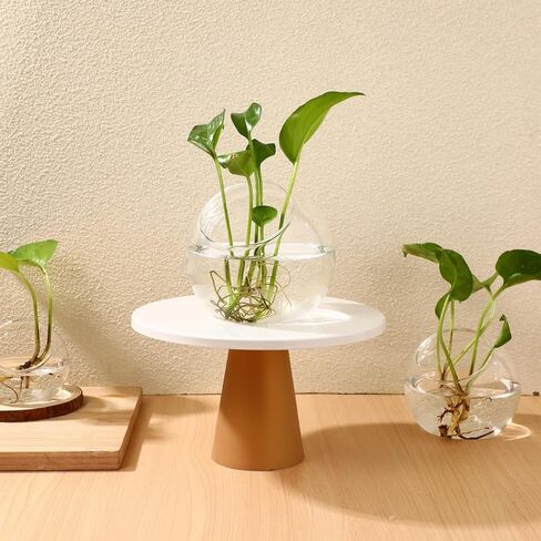 balacoo 3 Pcs Glass Terrariums Bowl for Plants, Terrarium Jar for Air Plant Clear Globe Vase Glass Bowl for Home Desktop Decor in Kuwait