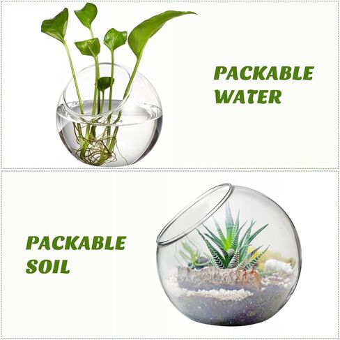 balacoo 3 Pcs Glass Terrariums Bowl for Plants, Terrarium Jar for Air Plant Clear Globe Vase Glass Bowl for Home Desktop Decor in Kuwait