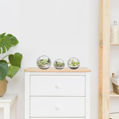 balacoo 3 Pcs Glass Terrariums Bowl for Plants, Terrarium Jar for Air Plant Clear Globe Vase Glass Bowl for Home Desktop Decor in Kuwait