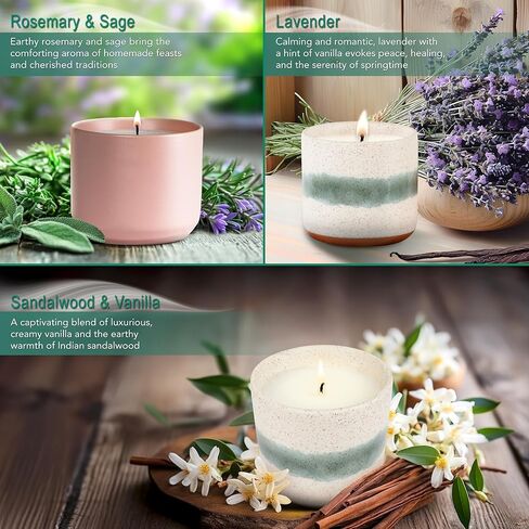 The Growing Candle, 3 Pack Scented Aromatherapy Candles for Autumn, 8.5oz Ceramic Pots, 100% Soy Wax in Saudi Arabia