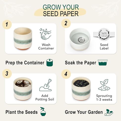 The Growing Candle, 3 Pack Scented Aromatherapy Candles for Autumn, 8.5oz Ceramic Pots, 100% Soy Wax in Saudi Arabia