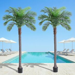 6FT Artificial Coconut Palm Tree Set of 2, UV Resistant Faux Sago Palm Plants for Indoor Outdoor, Realistic Large Tropical Decor for Home Office Patio Poolside Garden, Ready to Use in Cement Pot in Kuwait