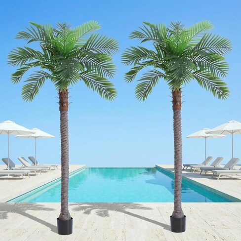 6FT Artificial Coconut Palm Tree Set of 2, UV Resistant Faux Sago Palm Plants for Indoor Outdoor, Realistic Large Tropical Decor for Home Office Patio Poolside Garden, Ready to Use in Cement Pot in Kuwait