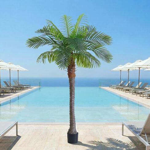 6FT Artificial Coconut Palm Tree Set of 2, UV Resistant Faux Sago Palm Plants for Indoor Outdoor, Realistic Large Tropical Decor for Home Office Patio Poolside Garden, Ready to Use in Cement Pot in Saudi Arabia