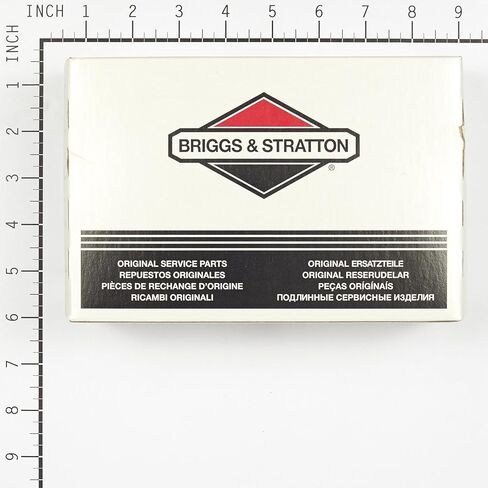 Briggs and Stratton 845906 Carburetor in Saudi Arabia