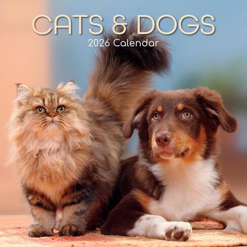 The Gifted Stationery 2026 Square Wall Calendar, Cats & Dogs, 16-Month Animals Theme Hanging Calendar with 180 Reminder Stickers, Month Planner for Home, or Creative Spaces, 12x12 In in Saudi Arabia