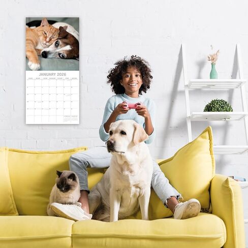 The Gifted Stationery 2026 Square Wall Calendar, Cats & Dogs, 16-Month Animals Theme Hanging Calendar with 180 Reminder Stickers, Month Planner for Home, or Creative Spaces, 12x12 In in Saudi Arabia