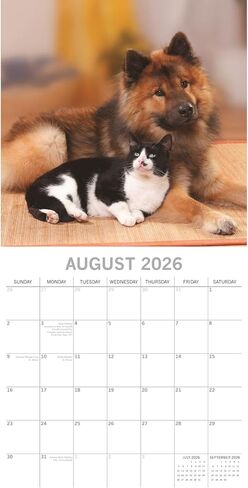 The Gifted Stationery 2026 Square Wall Calendar, Cats & Dogs, 16-Month Animals Theme Hanging Calendar with 180 Reminder Stickers, Month Planner for Home, or Creative Spaces, 12x12 In in Saudi Arabia