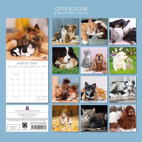 The Gifted Stationery 2026 Square Wall Calendar, Cats & Dogs, 16-Month Animals Theme Hanging Calendar with 180 Reminder Stickers, Month Planner for Home, or Creative Spaces, 12x12 In in Saudi Arabia