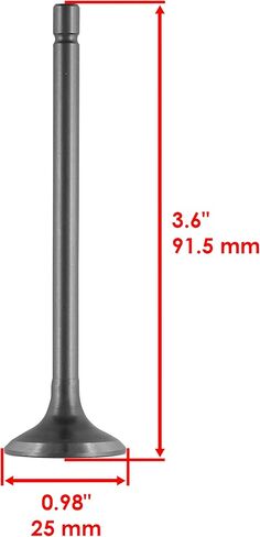 Caltric Cylinder Head Intake Exhaust Valve Kit Compatible with Honda ATC200 ATC200E ATC200M ATC200S ATC200X 1981-1986 in Saudi Arabia