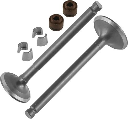 Caltric Cylinder Head Intake Exhaust Valve Kit Compatible with Honda CRF70F 2004-2012 in Saudi Arabia