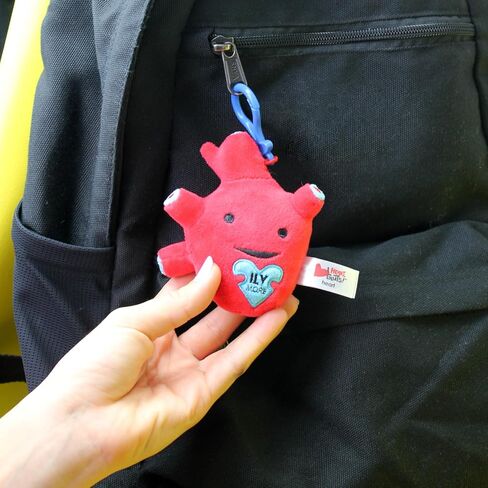 I Heart Guts Heart Organ Plushie Bag Charm | 4" Cute Mini Plush Keychain | Heart Surgery Gift | Med Student Gift | Anatomical Heart Toy | Valentine’s Day | Get Well Gift for Cardiac Patients in Saudi Arabia