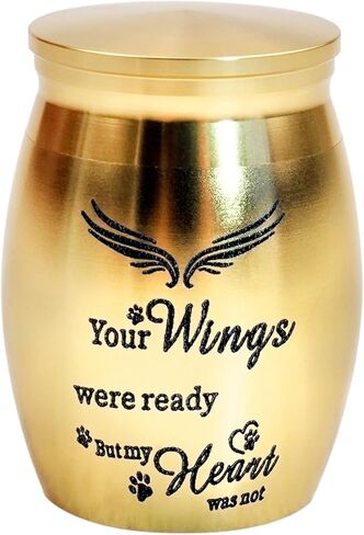 جرة كلب صغيرة للرماد، الجرار الصغيرة التذكارية للحيوانات الأليفة مقاس 1.57 بوصة لرماد الكلاب والقطط، جرة حرق الجثث من الفولاذ المقاوم للصدأ طباعة مخالب الحيوانات الأليفة، جرة تذكار للرماد - مطبوعات مخالبك إلى الأبد على قلبي (فضي) in Kuwait