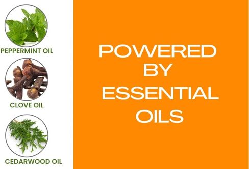 رذاذ البراغيث والقراد للبراغيث والقراد والبعوض - يستخدم للكلاب والقطط والمنزل (100 مل) in Kuwait