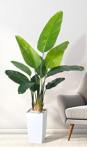 Bird of Paradise Artificial Plant 6FT, Faux Tropical Palm Tree with White Tall Planter, Large Fake Plants in Pot - Artificial Tree for Home Office Living Room Decor Indoor in Kuwait