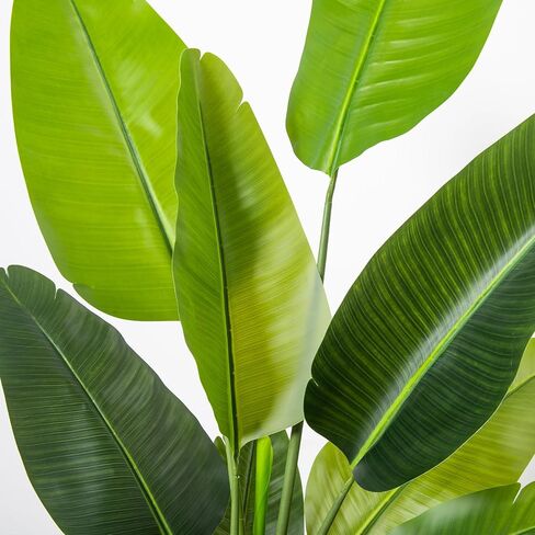 Bird of Paradise Artificial Plant 6FT, Faux Tropical Palm Tree with White Tall Planter, Large Fake Plants in Pot - Artificial Tree for Home Office Living Room Decor Indoor in Kuwait