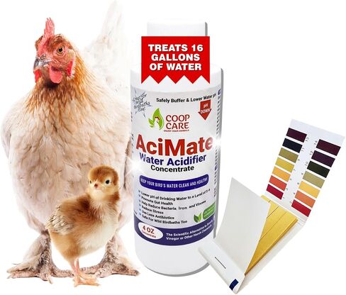 تركيز حمض الماء AciMate (32 أونصة) - يعمل على تحسين درجة حموضة الماء، والقضاء على نمو الأغشية الحيوية والطحالب في سقائيك. أقوى بـ 10 مرات من خل التفاح! طعم لطيف. تتضمن شرائط اختبار الرقم الهيدروجيني مجانًا! in Kuwait