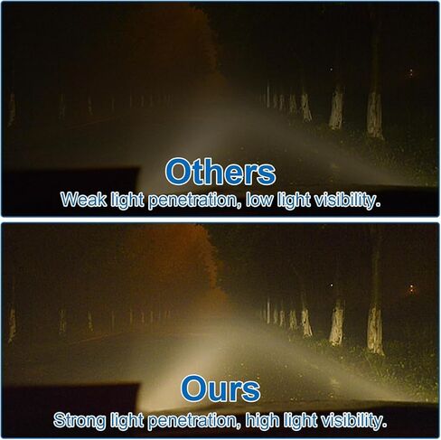 ضوء الضباب متوافق مع 2015-2020 Ford F150، 2020-2022 Ford F-250 Super Duty لجانب الركاب الأيمن in Kuwait