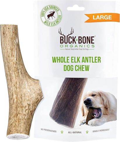Buck Bone Organics Dog Chews, Elk Antlers for Dogs, Long Lasting Dog Bones for Aggressive Chewers, All Natural, No Preservatives, Wild Shed in The USA (Jumbo) in Saudi Arabia
