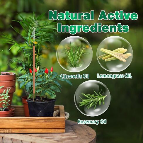 فناء خارجي طارد للبعوض، 36 قطعة من أعواد بخور زيت السترونيلا للبعوض - رادع طبيعي قوي للبعوض للفناء الداخلي وغرفة المنزل والسفر والتخييم in Kuwait
