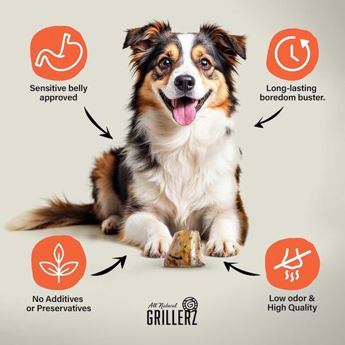 Scott Pet GRILLERZ Wrapped 2-3" Smoked Beefy Bone in Kuwait