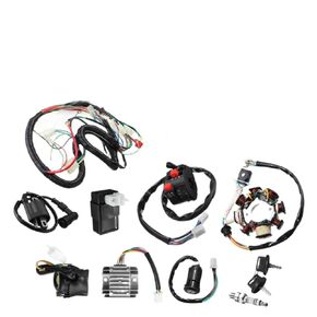 Wire Harness Stator Assembly Wiring Compatible with 125cc 150cc 200cc 250cc Dirt Bike ATV Quad Electrics Ducar Razor in Kuwait