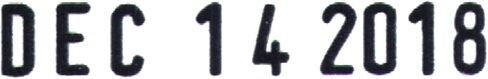 Trodat Large Rectangular Date Stamp, 3/16" x 1 3/16", MMM DD YYYY, 10 Year Band, Rubber in Saudi Arabia
