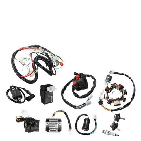 Wire Harness Stator Assembly Wiring Compatible with 125cc 150cc 200cc 250cc Dirt Bike ATV Quad Electrics Ducar Razor in Kuwait