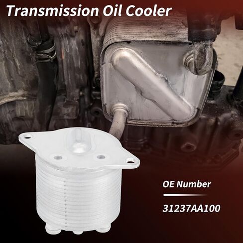 مبرد زيت المحرك رقم 31237AA100 لسوبارو أسنت 2.4L 2019-2025 مبرد زيت ناقل الحركة عبر مبرد سبائك الألومنيوم فضي اللون 1 قطعة in Saudi Arabia