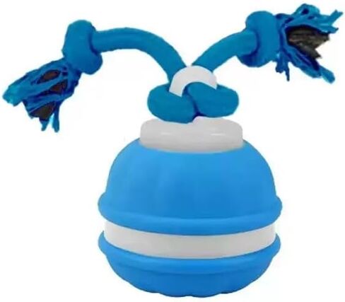 Winb Interactive LED Dog Ball - USB Rechargeable Motion-Activated Rolling Toy for Medium/Large Dogs, Dogs Ball Play and Wicked Fun in Kuwait