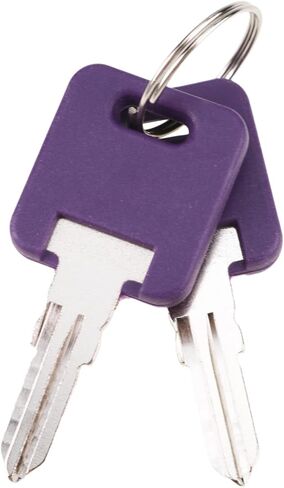 DVPARTS 5X Blank Keys G-301-390 Compatible with Global Link RV Trailer Camper Keys Cut to Your G Series Code G301-391 Purple in Saudi Arabia