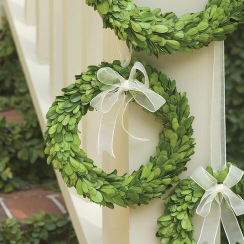 Napa Home and Garden Preserved Boxwood Wreath in Kuwait