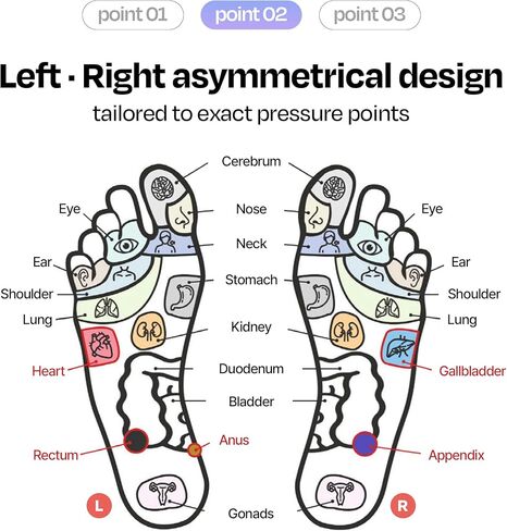 BALLOP Mamuring Acupressure Massage Slippers for Women, Professional Level Intensity, Slide Sandals with 1700 Nodes, Indi Pink, Women US Size 6, Arch Support, Lightweight, Reflexology Recovery Slides in Saudi Arabia