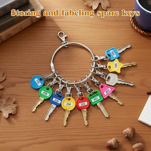 حلقة مفاتيح كبيرة، حامل منظم مفاتيح بحلقة معدنية محمولة مع 10 مشابك دوارة وحلقات مفاتيح كبيرة للاستخدام في المستودعات والمكتب والمدرسة والمنزل، فضي in Kuwait