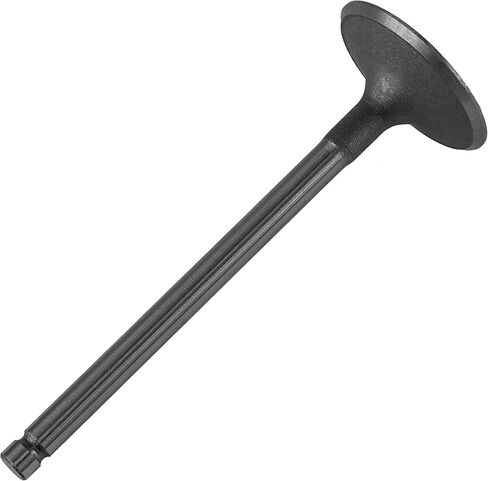Caltric Intake Valve compatible with Kohler 6201701S 6201701-S 62 017 01-S 62-016-02-S in Saudi Arabia