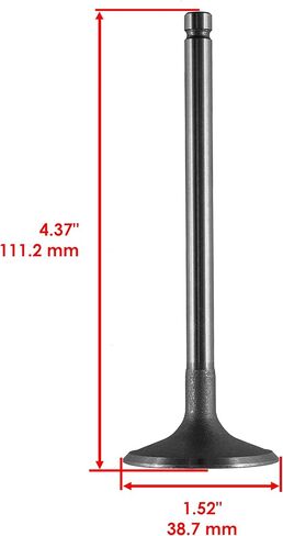Caltric Intake Valve compatible with Kohler 6201701S 6201701-S 62 017 01-S 62-016-02-S in Saudi Arabia