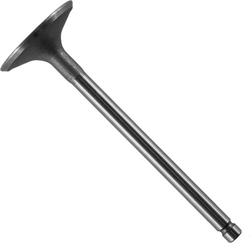Caltric Intake Valve compatible with Kohler 6201701S 6201701-S 62 017 01-S 62-016-02-S in Saudi Arabia
