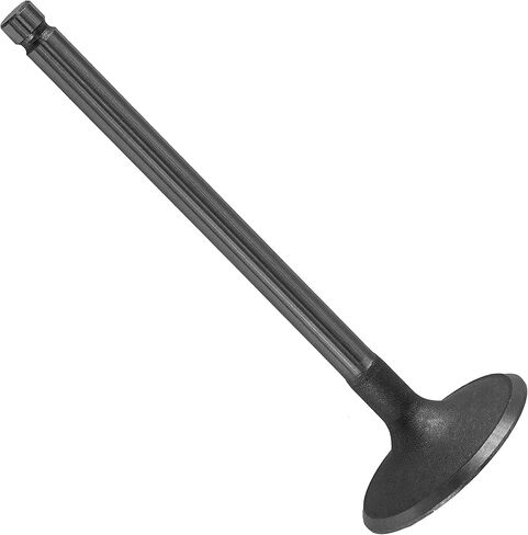 Caltric Intake Valve compatible with Kohler 6201701S 6201701-S 62 017 01-S 62-016-02-S in Saudi Arabia