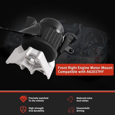 1-Piece Motor Mounts Front Passenger Right Side Lower Hand Compatible with 2005-2010 Scion tC Base & 2007-2008 Scion tC Spec OE: A62037HY,EM-5916 in Kuwait