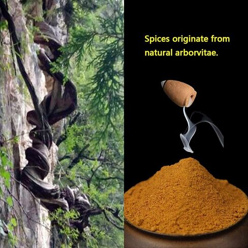 600 pcs Backflow Incense Cones for Waterfall Mixed Natural Scents Cone Incense for Meditation Relax in 2 Bottles in Kuwait