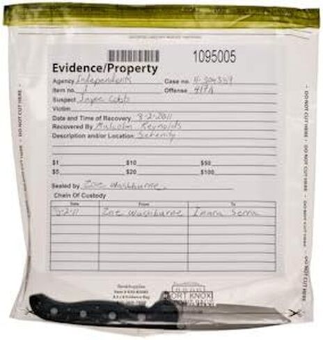 BankSupplies Clear Evidence Bags | Case of 100 | 9W x 12H | Tamper Evident Seal | Write-On Panel for Information | Plastic Safety Security Bag | Serial Numbers & Tear Off in Saudi Arabia